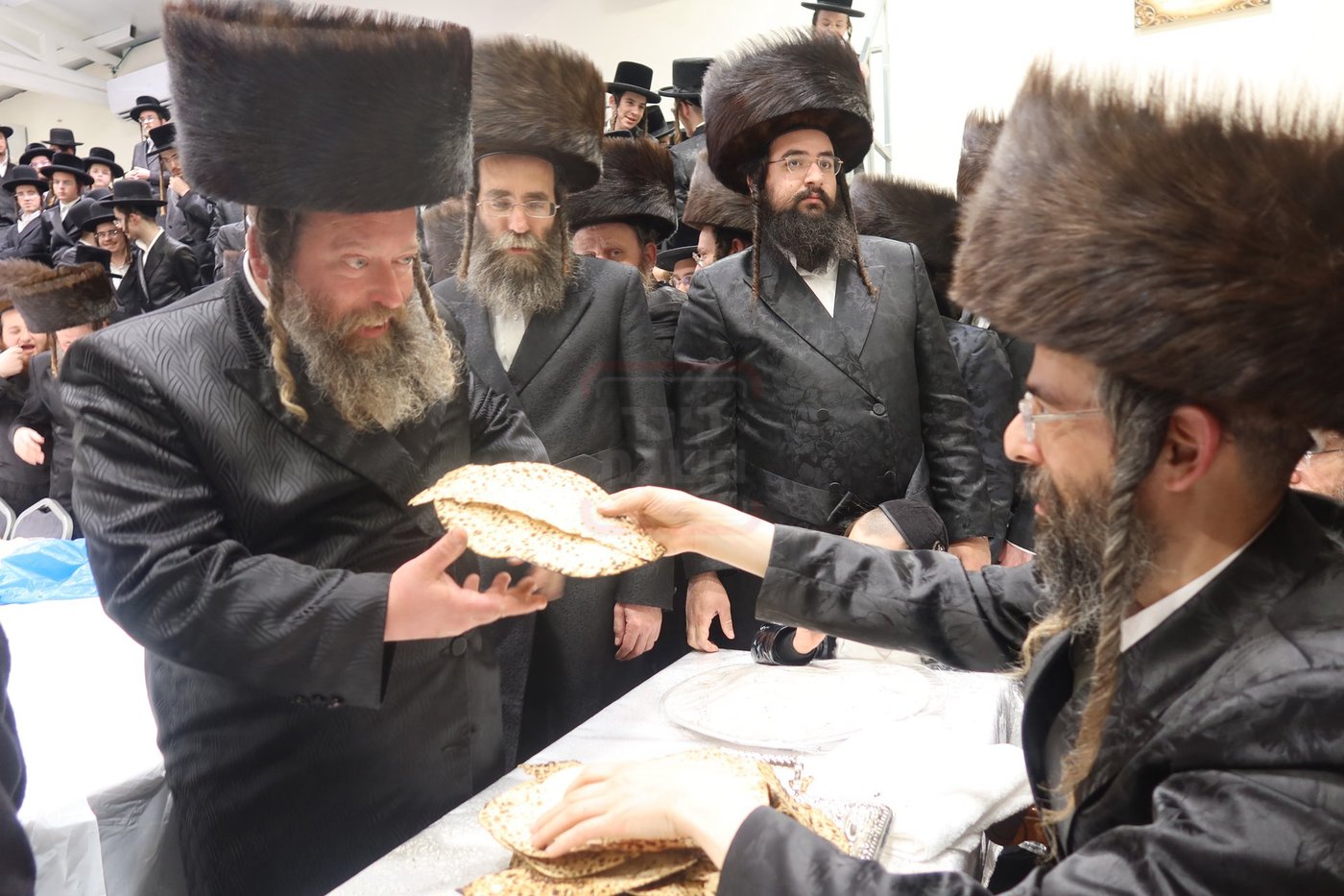 חג הפסח בחצה"ק זוועיהיל