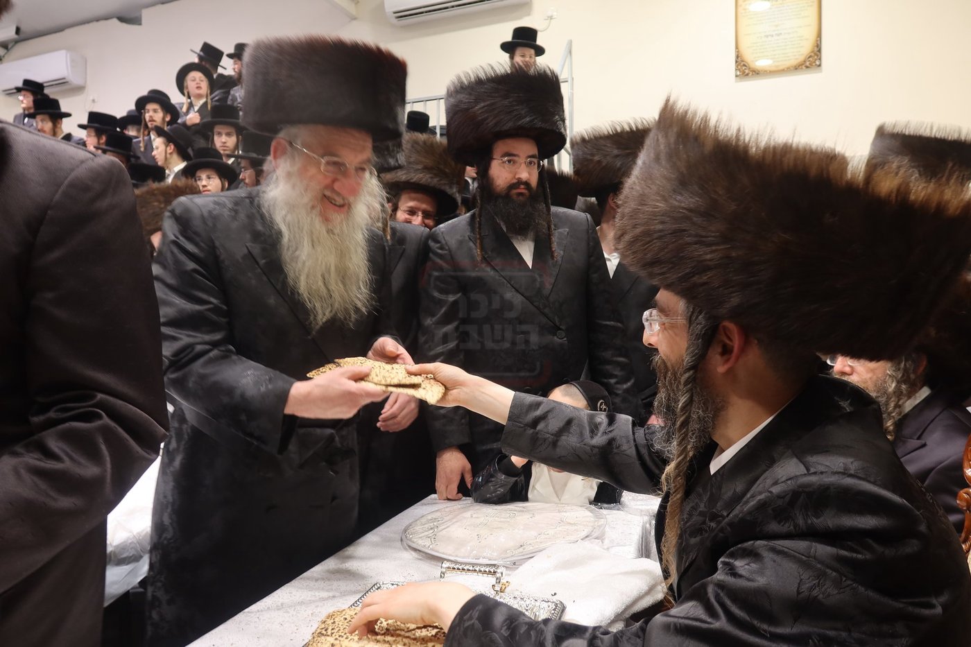 חג הפסח בחצה"ק זוועיהיל