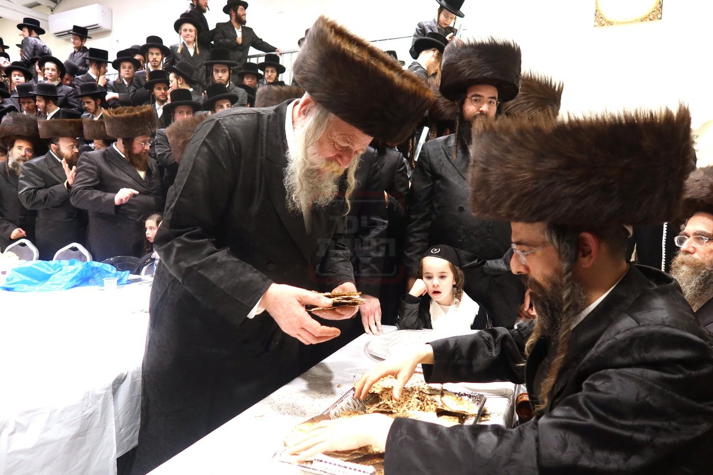 חג הפסח בחצה"ק זוועיהיל