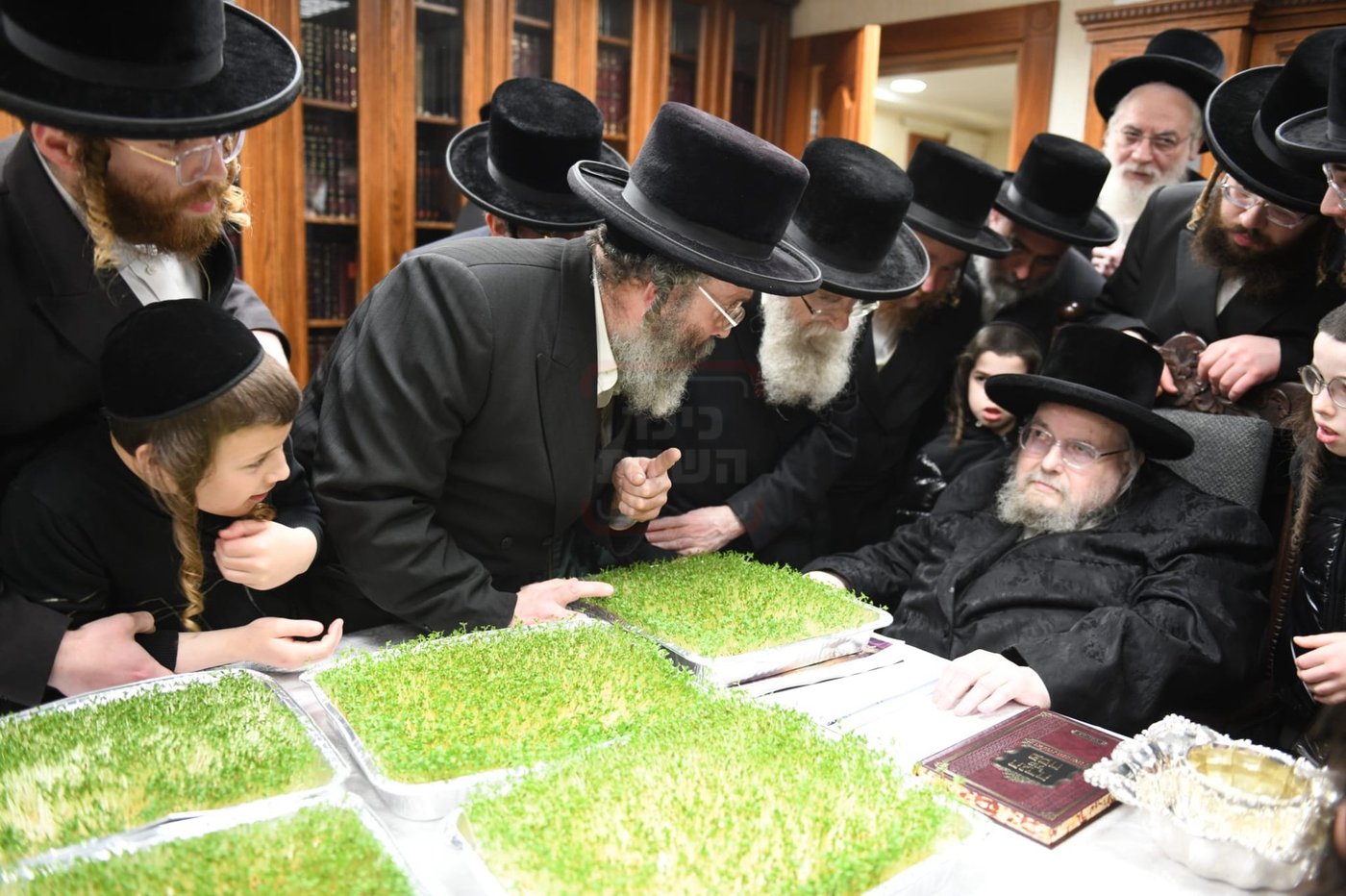 בהכנסת הזרזיך לליל הסדר