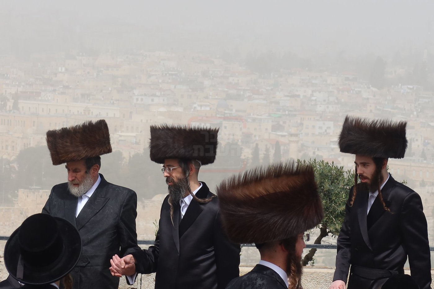 חג הפסח בחצה"ק זוועיהיל
