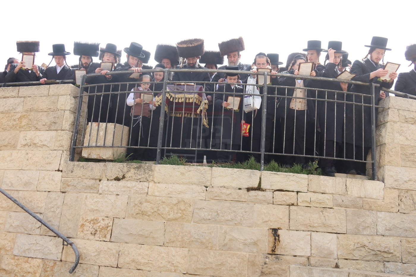 חג הפסח בחצה"ק זוועיהיל