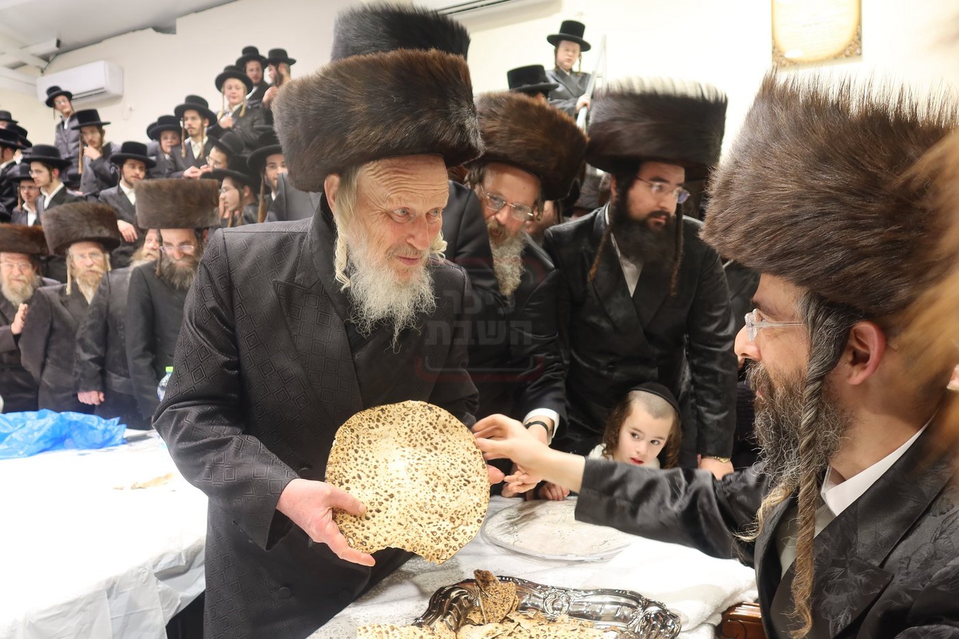 חג הפסח בחצה"ק זוועיהיל