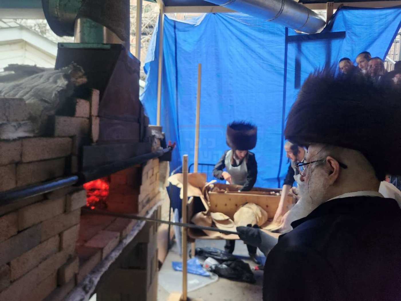 חג הפסח בחצה"ק צאנז קלויזנבורג