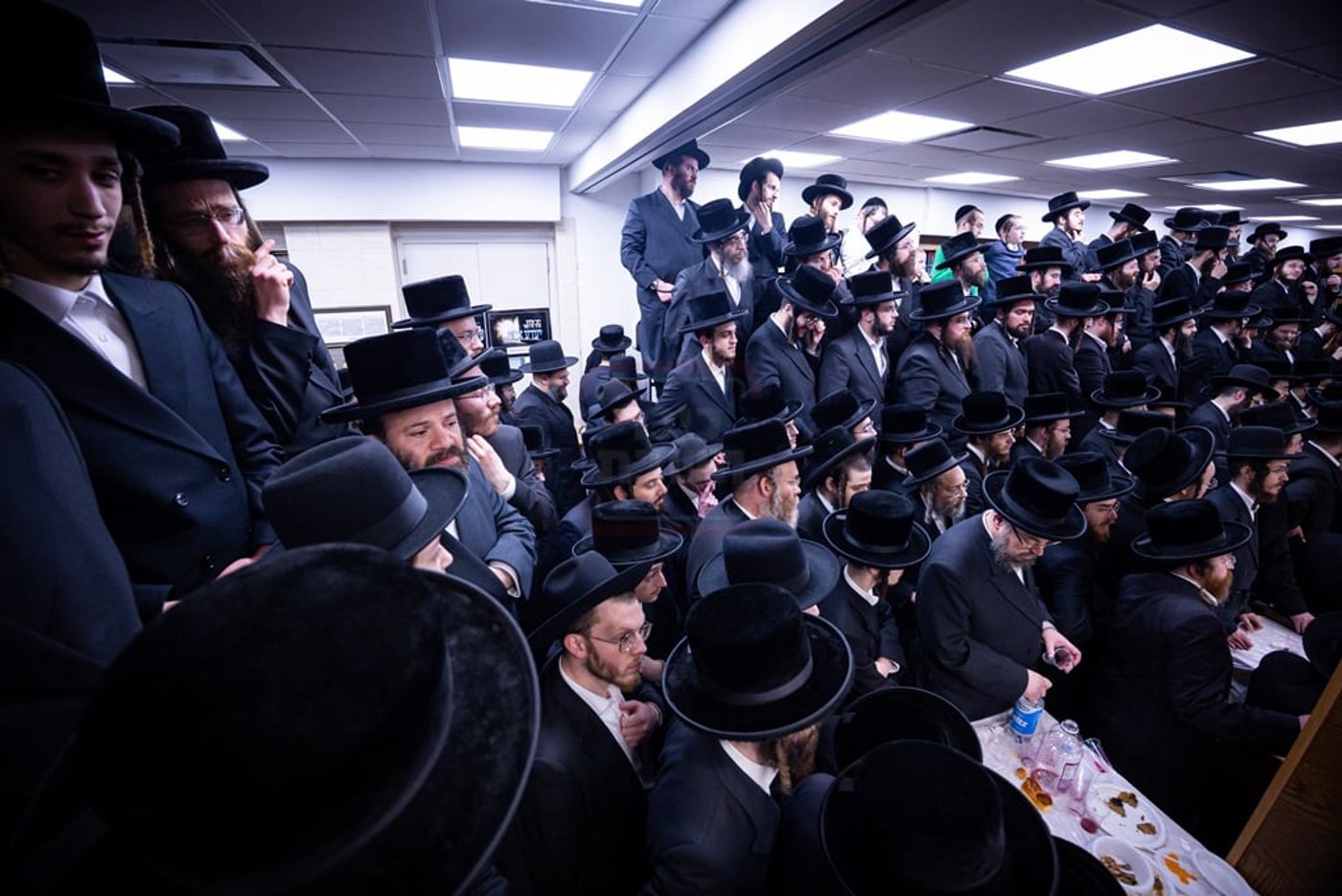 הילולא קדישא בצאנז קלויזנבורג