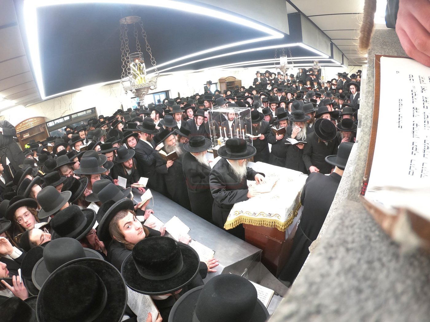 הילולא קדישא בסאטמר