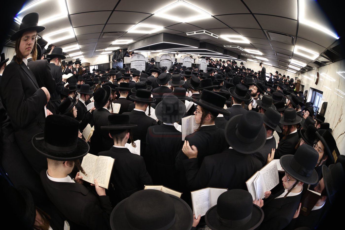 הילולא קדישא בסאטמר