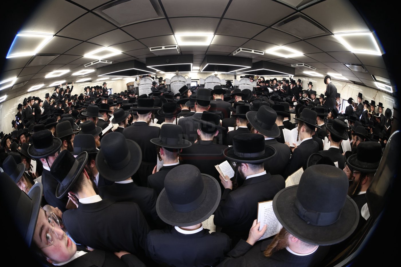 הילולא קדישא בסאטמר