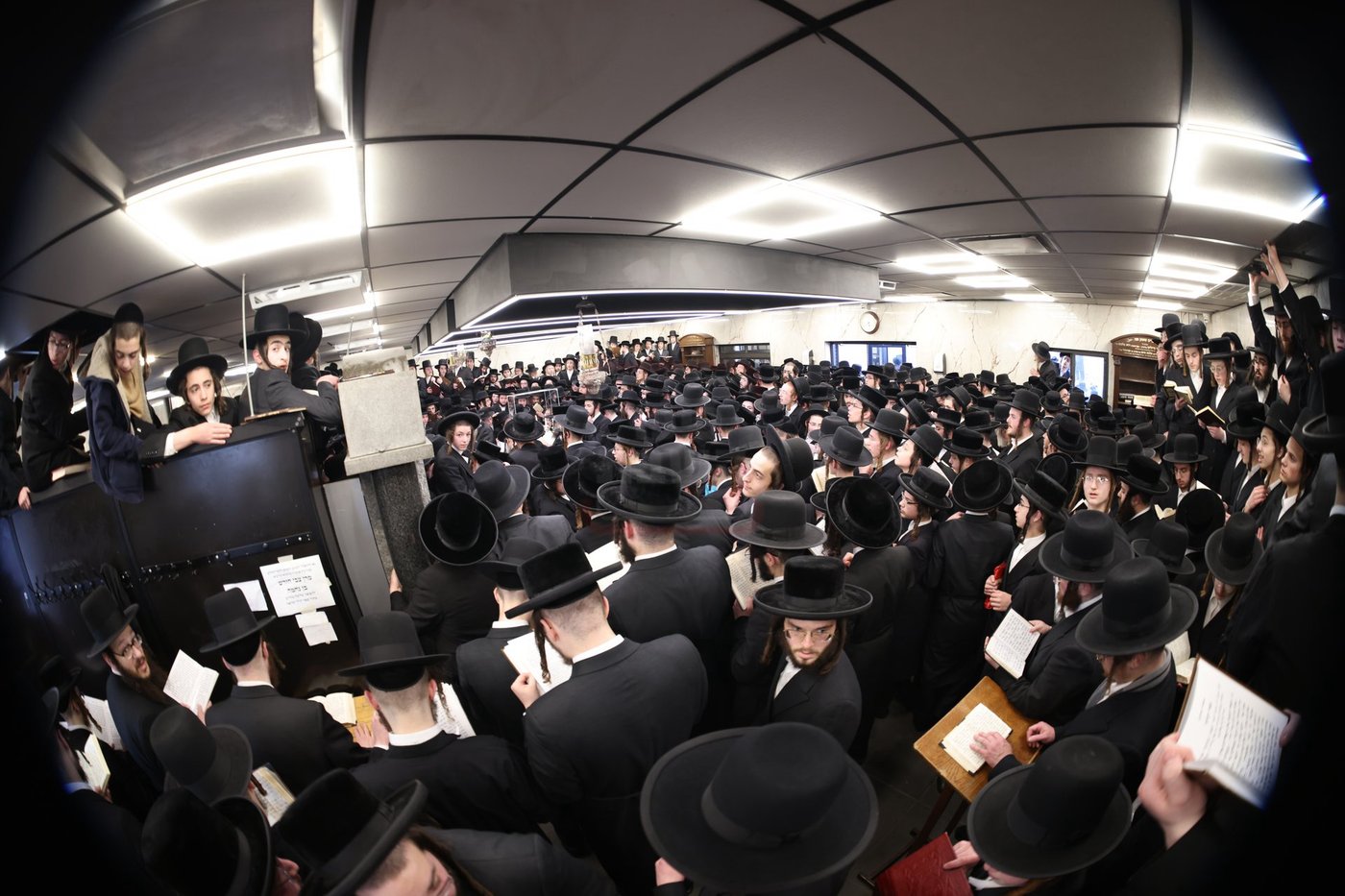 הילולא קדישא בסאטמר