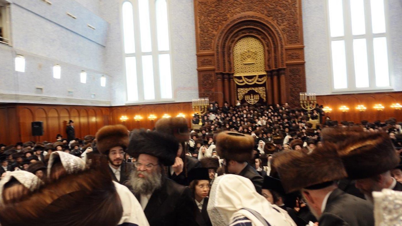 שמחת הברית בחצה"ק בעלזא