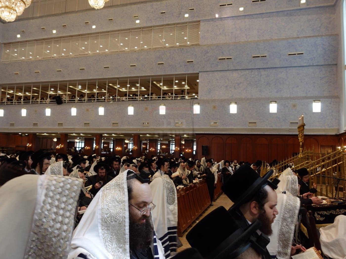 שמחת הברית בחצה"ק בעלזא