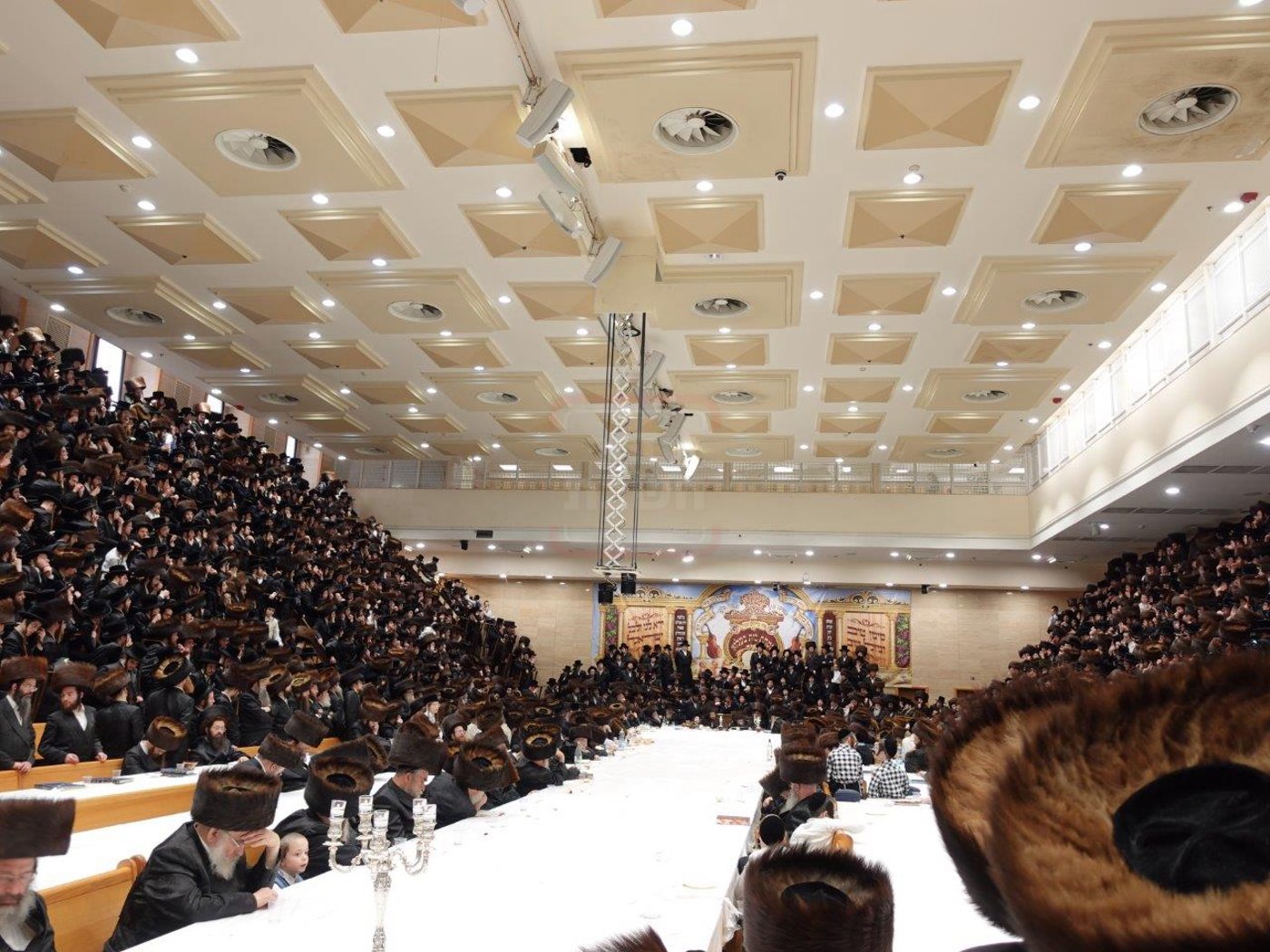 שמחת הברית בחצה"ק בעלזא