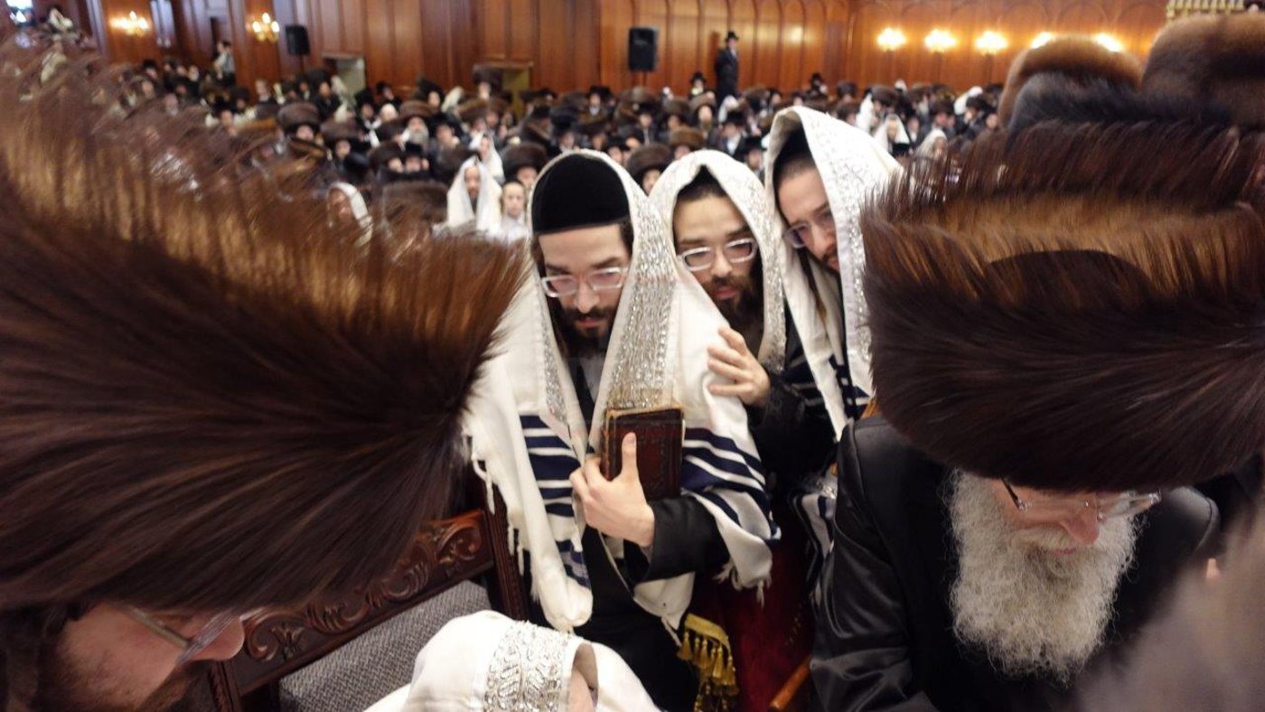 שמחת הברית בחצה"ק בעלזא