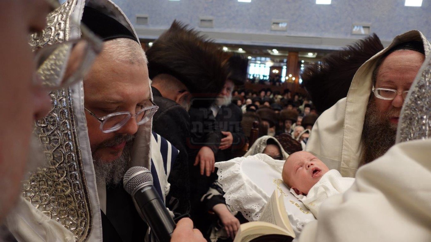 שמחת הברית בחצה"ק בעלזא