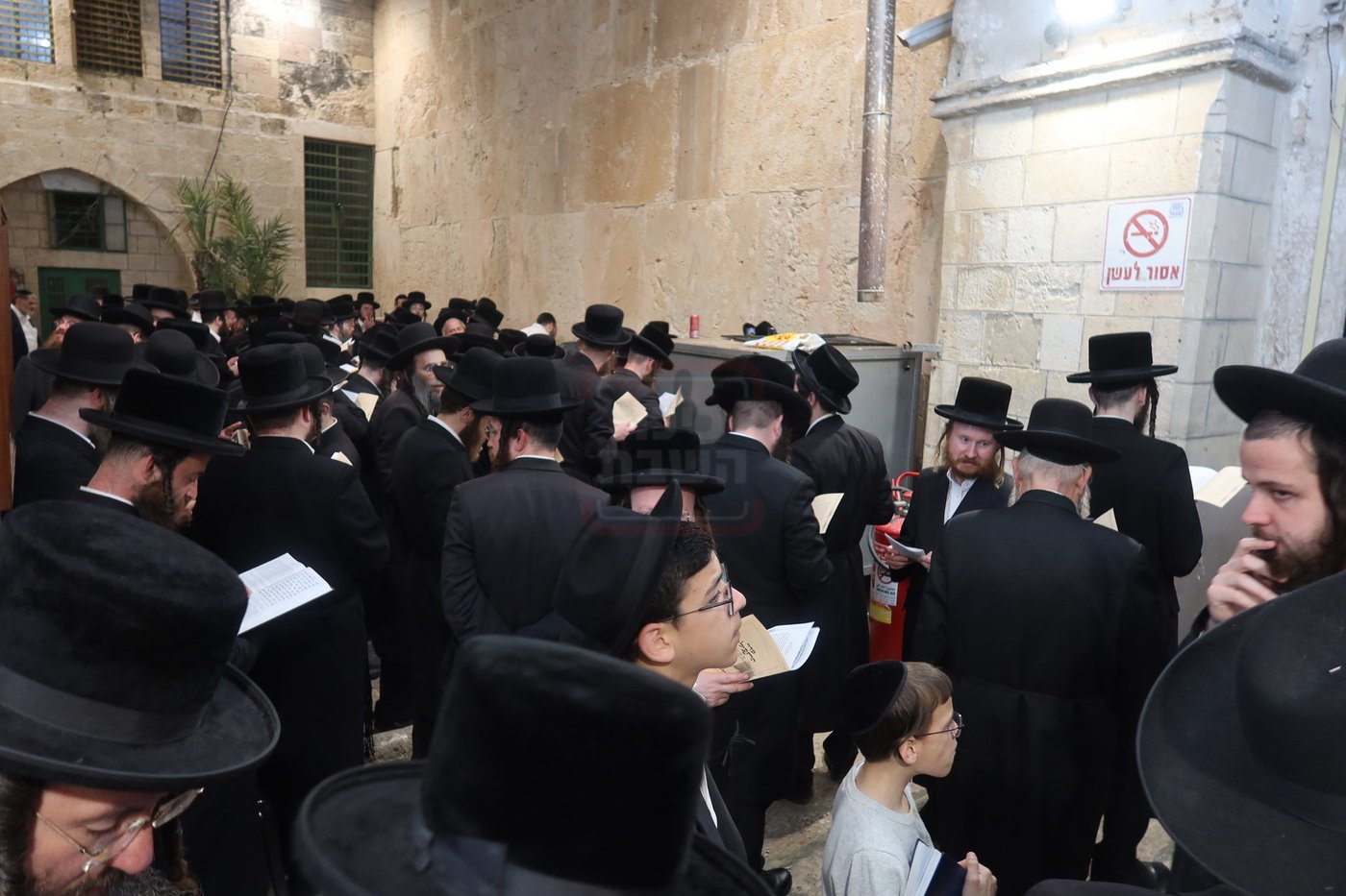 חסידי זוועהיל בעיר האבות חברון