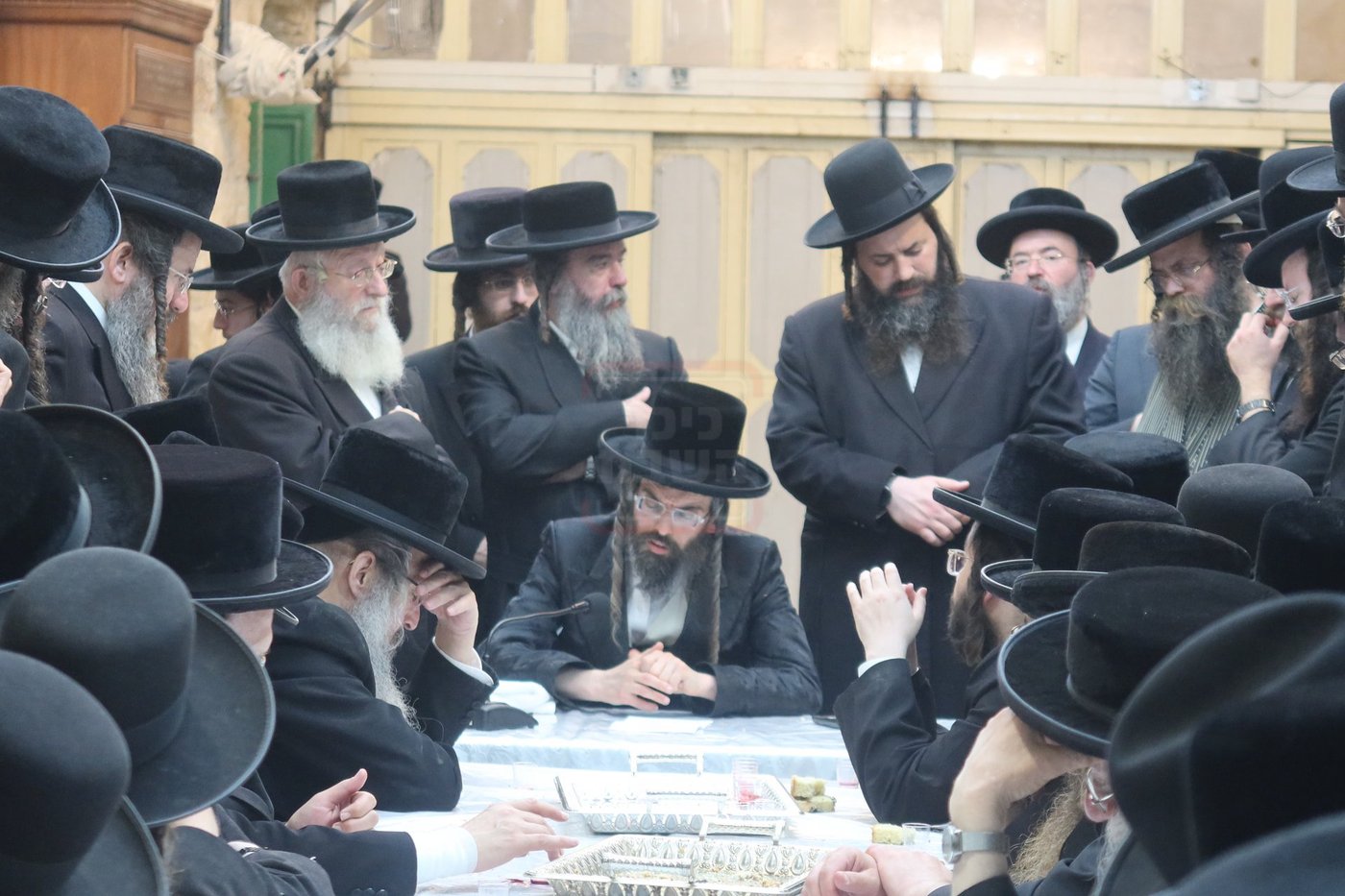 חסידי זוועהיל בעיר האבות חברון