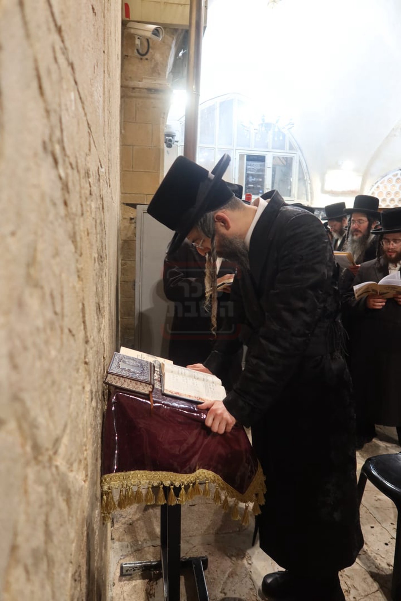 חסידי זוועהיל בעיר האבות חברון