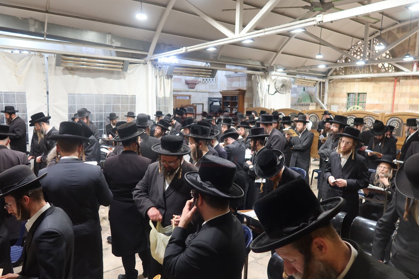 חסידי זוועהיל בעיר האבות חברון