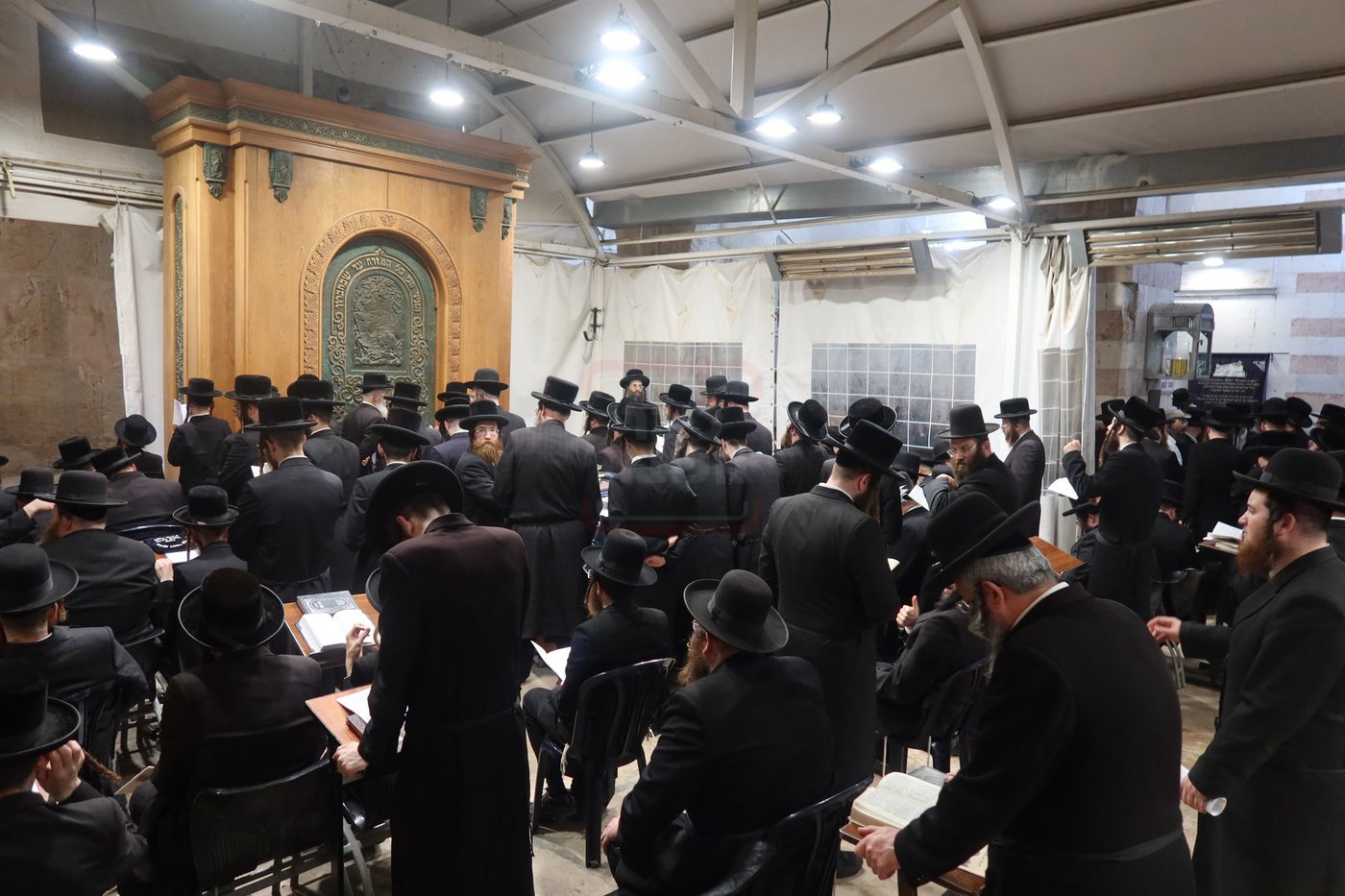 חסידי זוועהיל בעיר האבות חברון