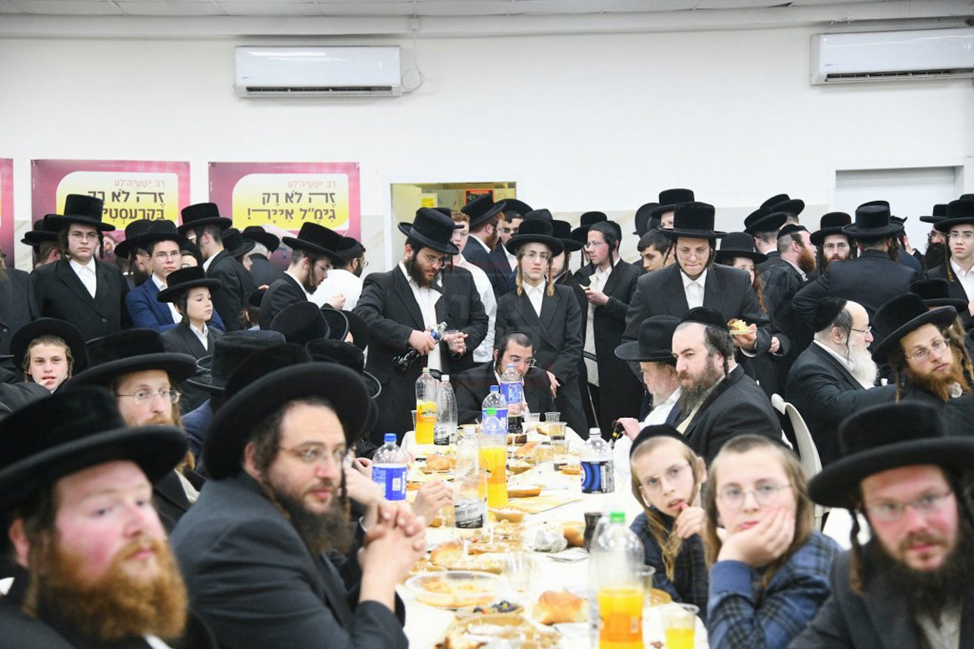 סעודת הילולא במאטערסדארף 