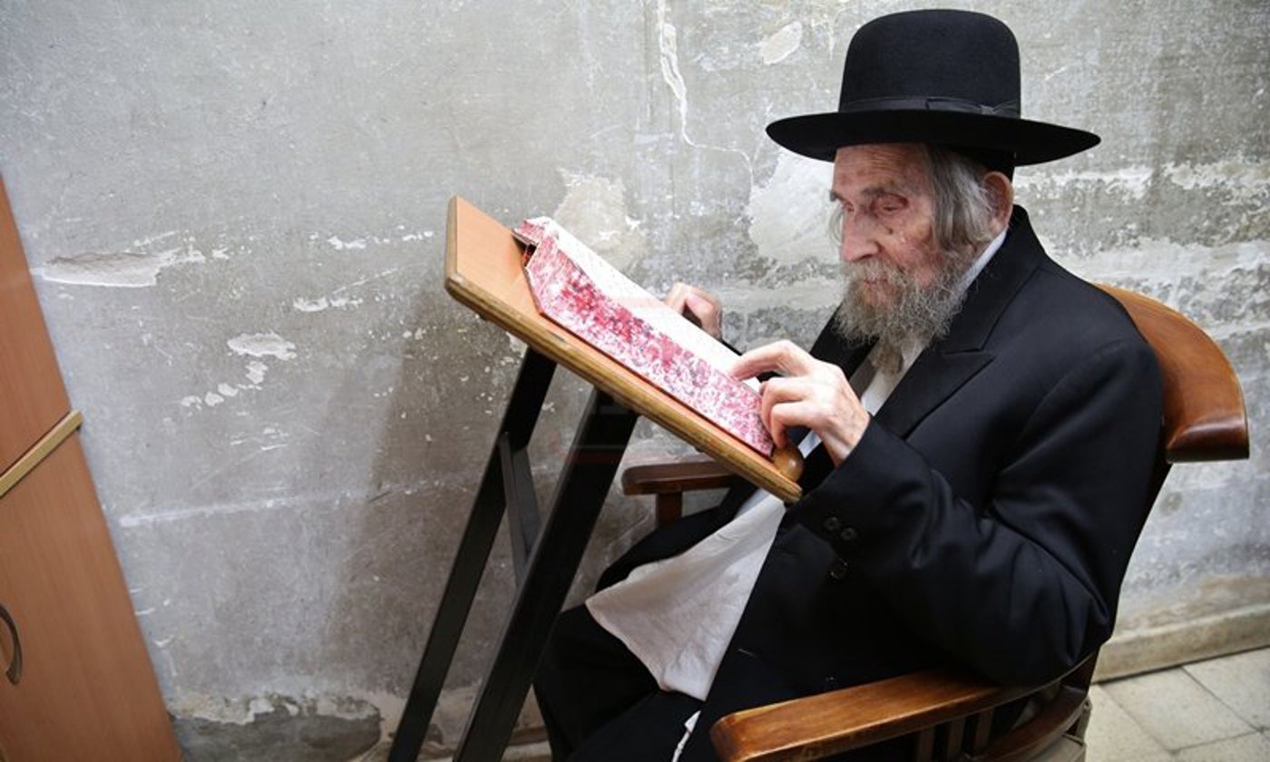 הגראי"ל שטיינמן זצ"ל