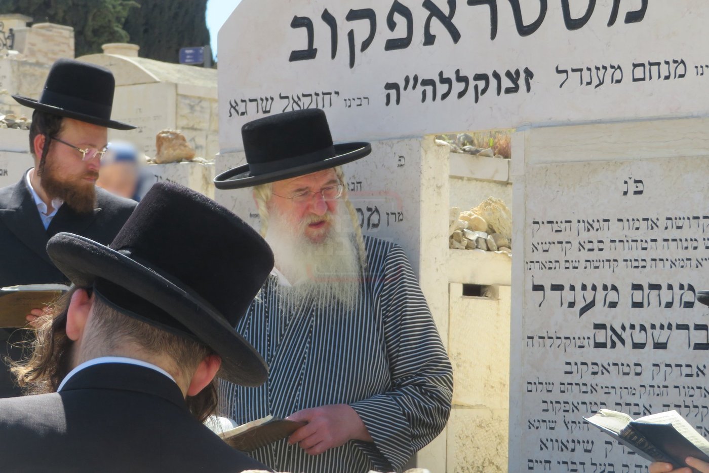 הילולא קדישא בסטרופקוב