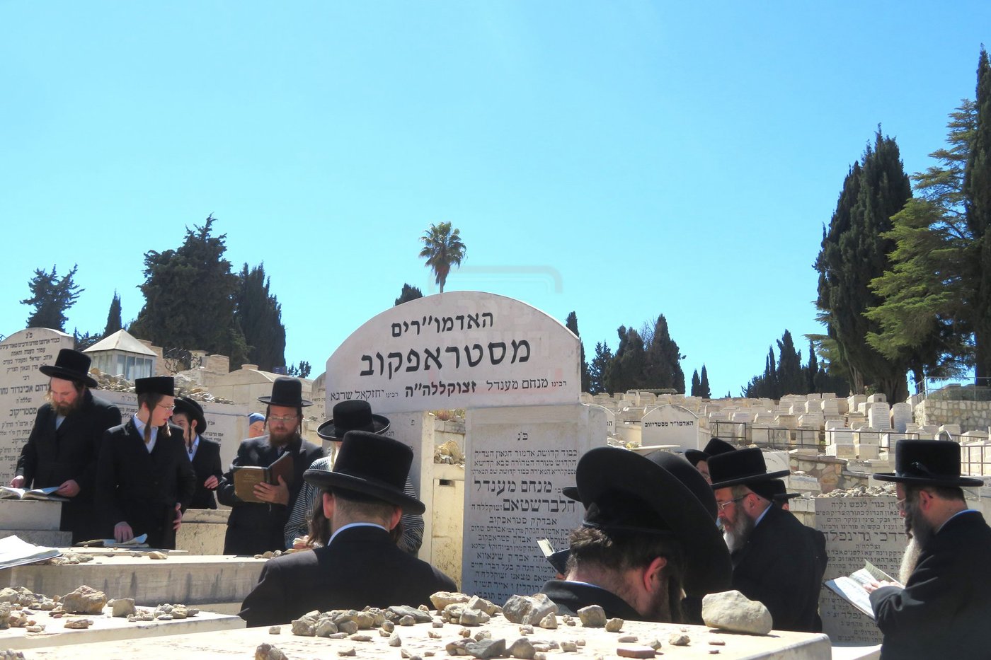 הילולא קדישא בסטרופקוב