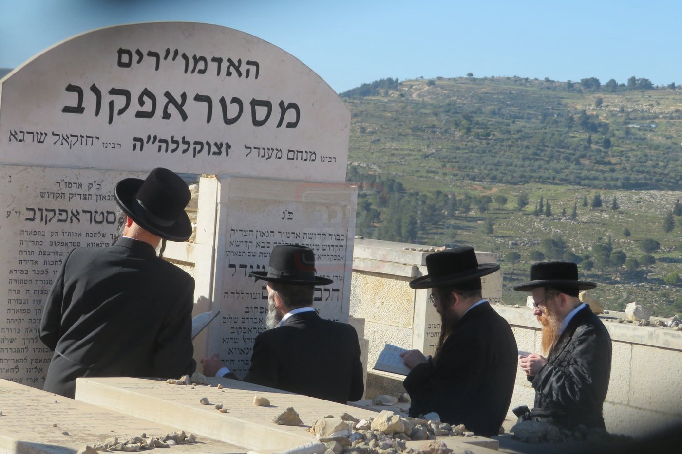 הילולא קדישא בסטרופקוב