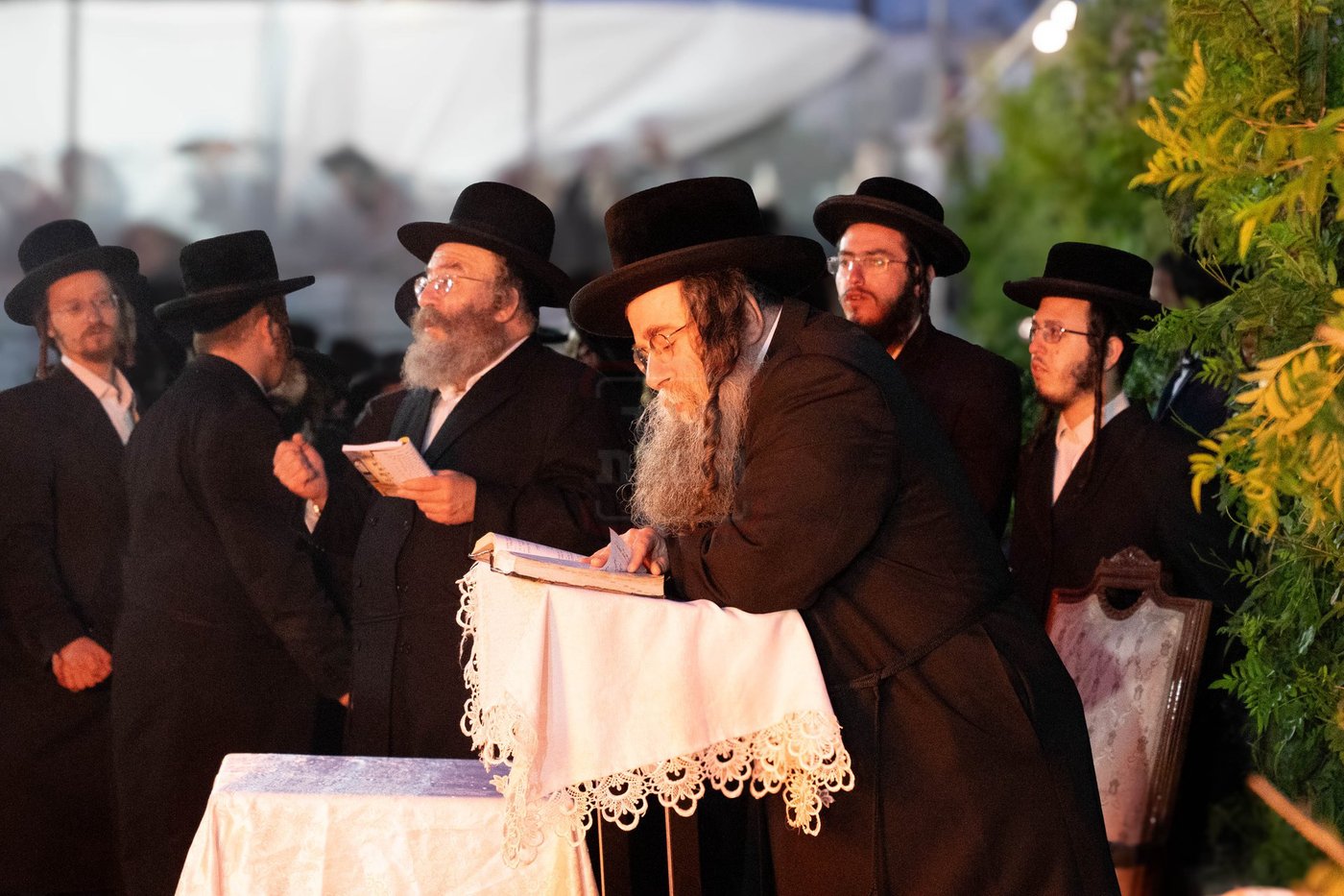 ל"ג בעומר בחצה"ק לעלוב ירושלים בטבריה