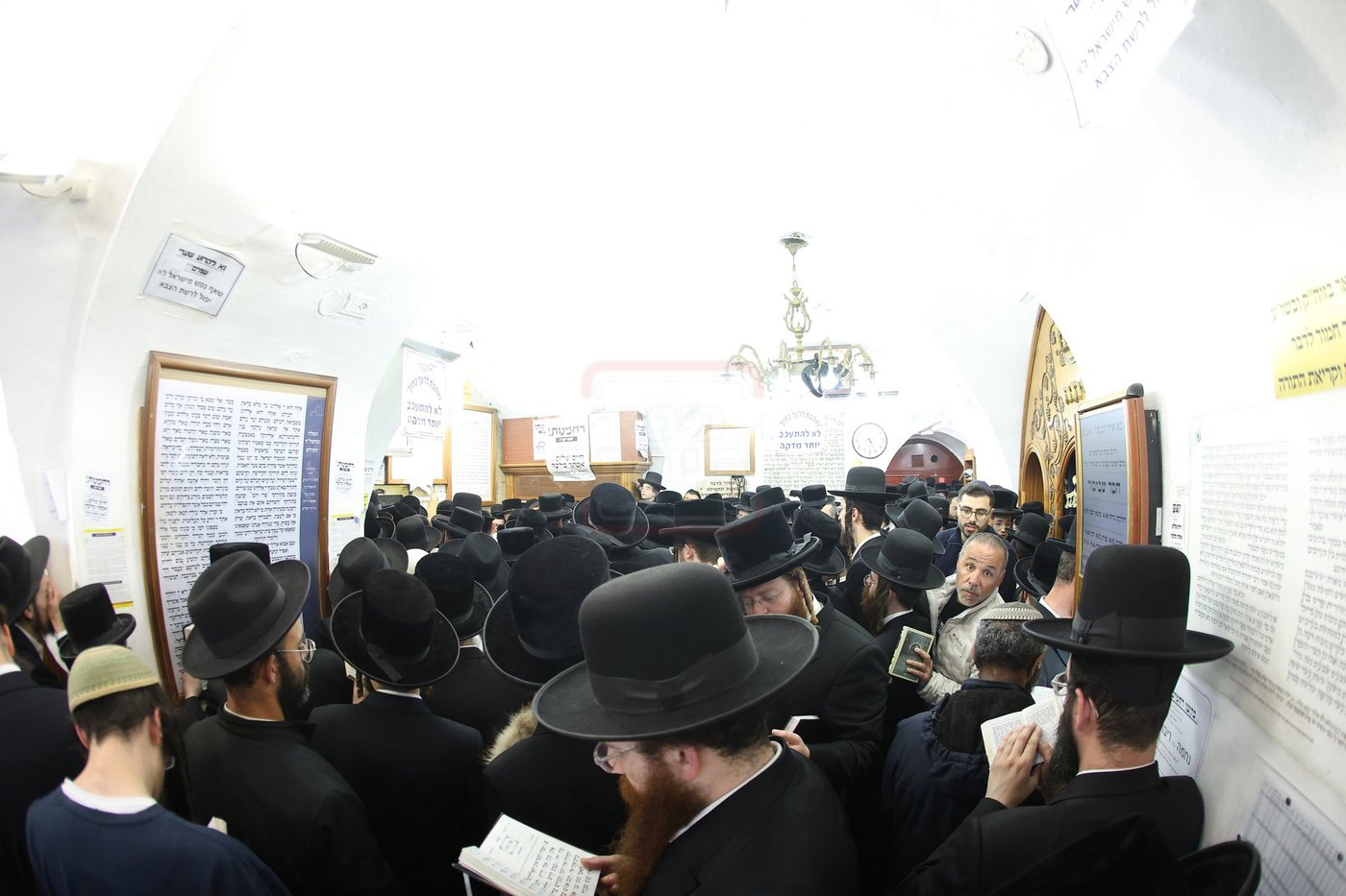 הגה"צ רבי מנחם ארנסטר במירון