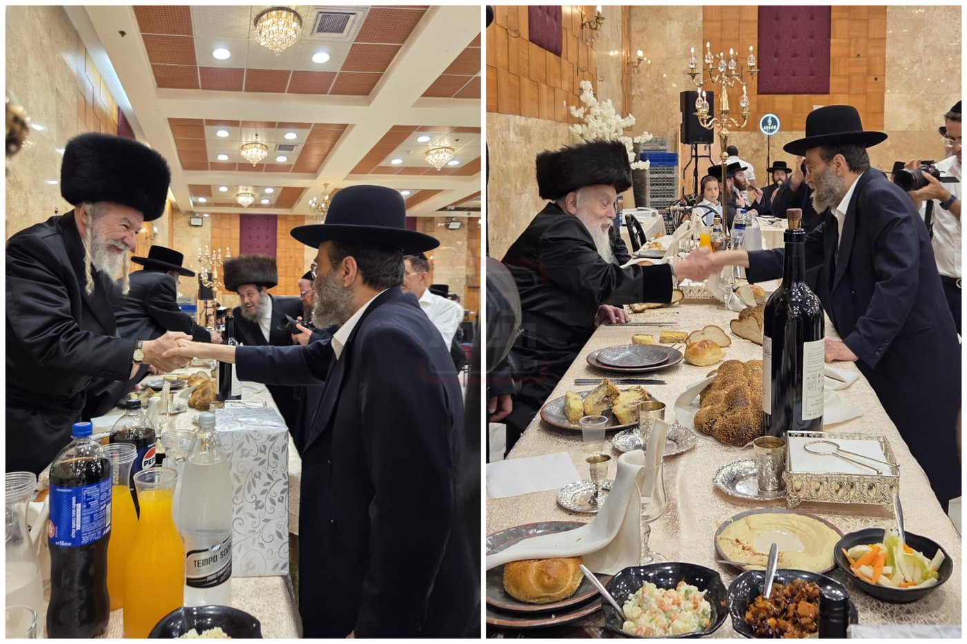המשב"ק העריק | 'זֵיידְלֶ'ע' עם כל התמונות, הנייעס והחשיפות של השבוע