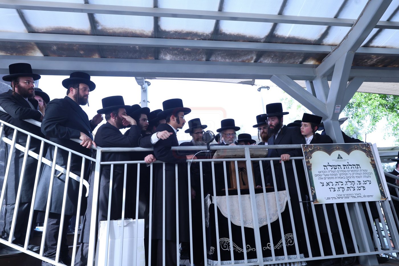 האדמו"ר מסערט ויז'ניץ בתפילת השל"ה בטבריה