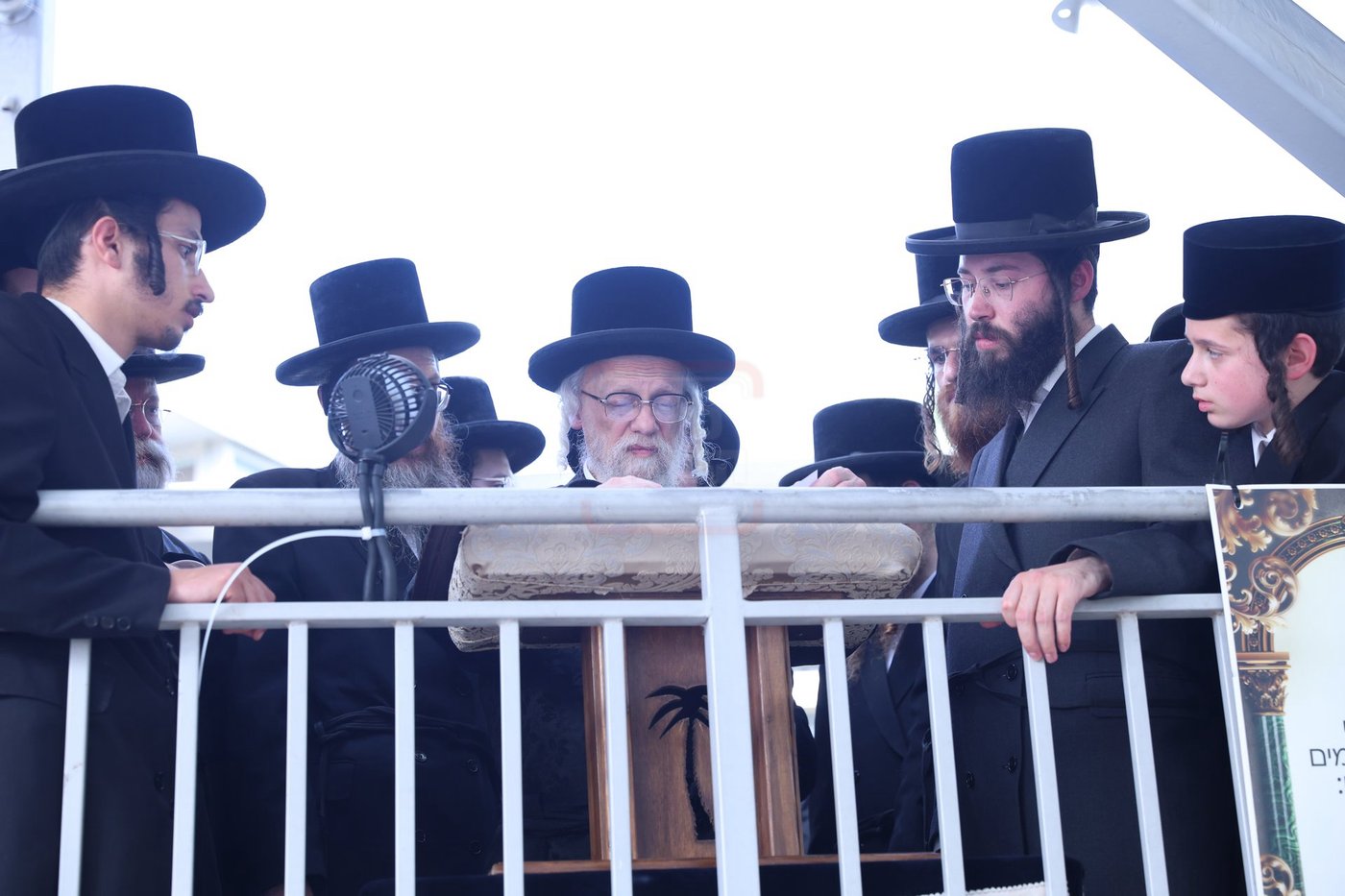 האדמו"ר מסערט ויז'ניץ בתפילת השל"ה בטבריה