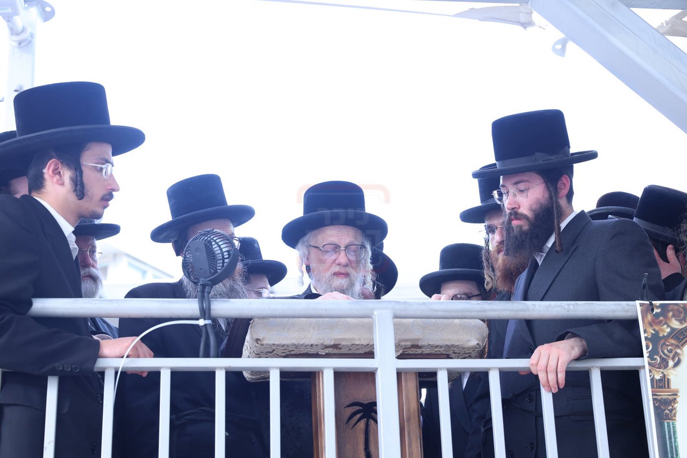 האדמו"ר מסערט ויז'ניץ בתפילת השל"ה בטבריה