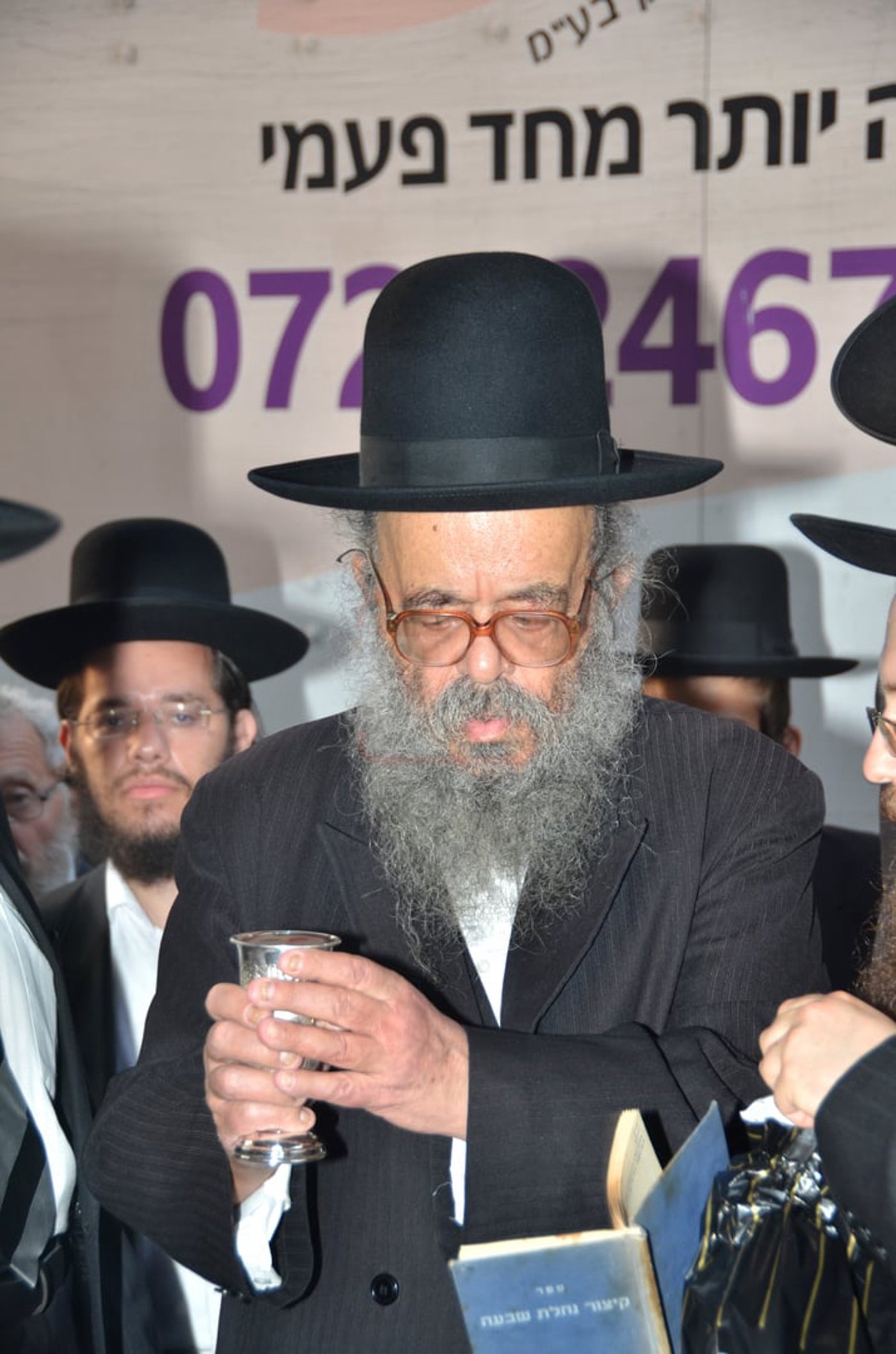 מראות חייו של הגאון רבי דוד שמידל זצ"ל