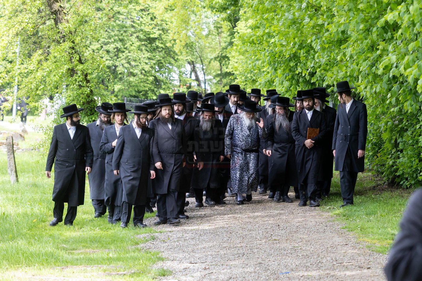 האדמו"ר מסאטמר בצאנז