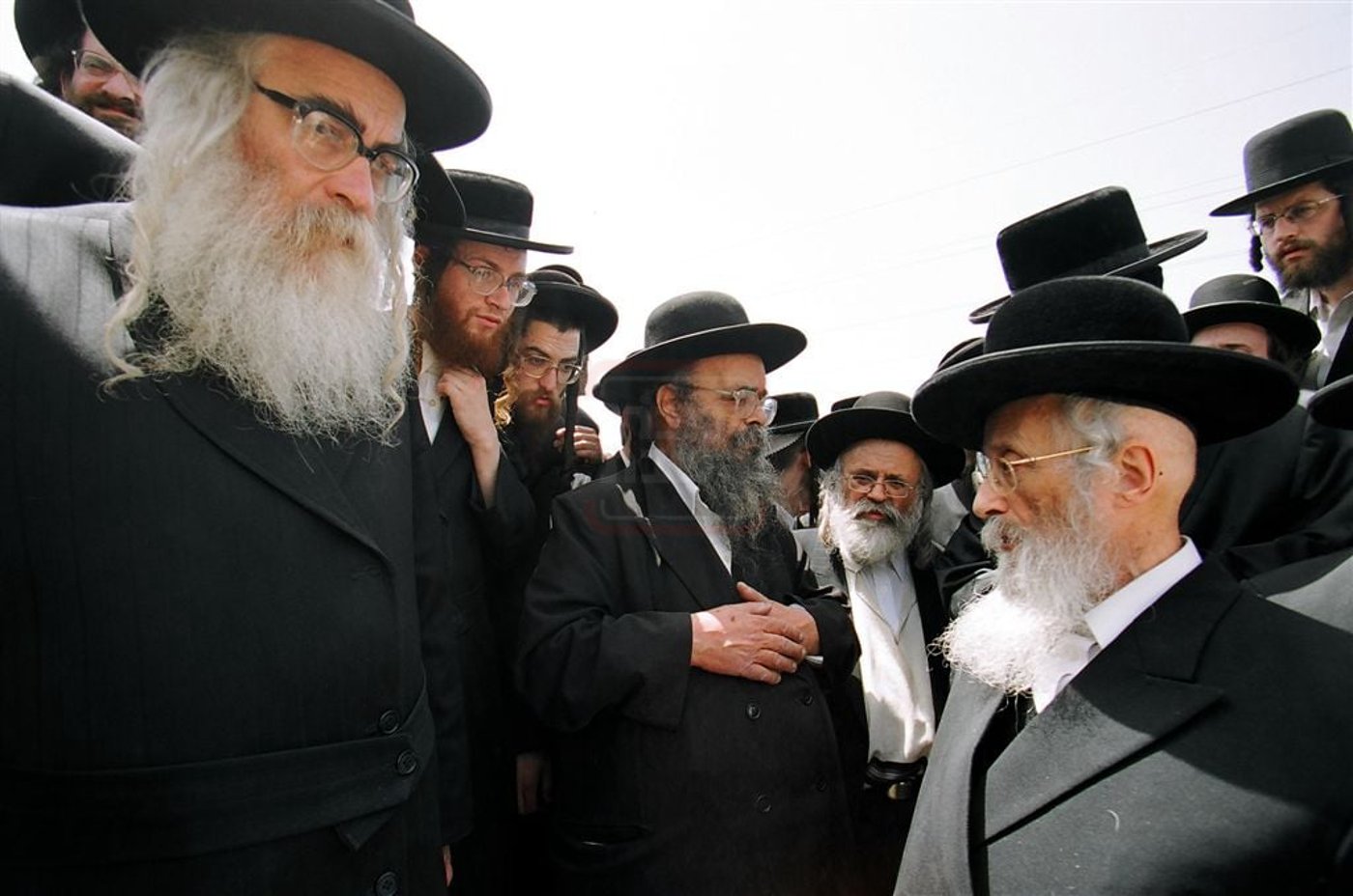 מראות חייו של הגאון רבי דוד שמידל זצ"ל