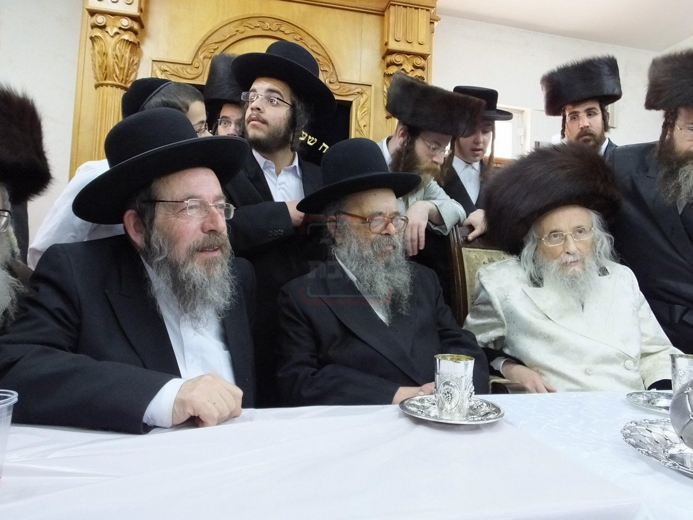 מראות חייו של הגאון רבי דוד שמידל זצ"ל