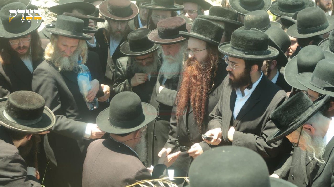 מראות חייו של הגאון רבי דוד שמידל זצ"ל