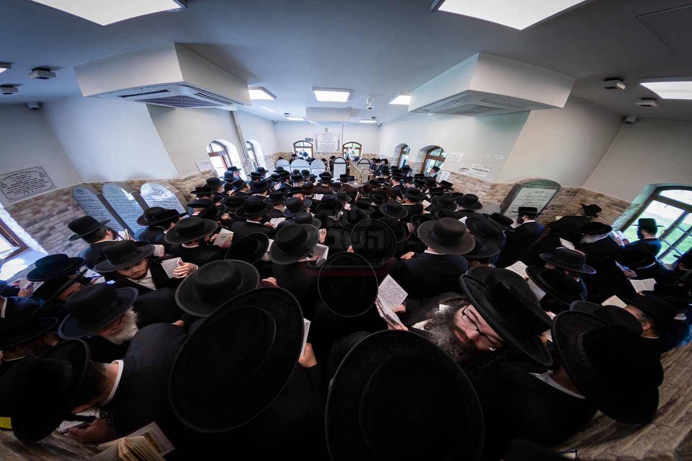 האדמו"ר מסאטמר בצאנז