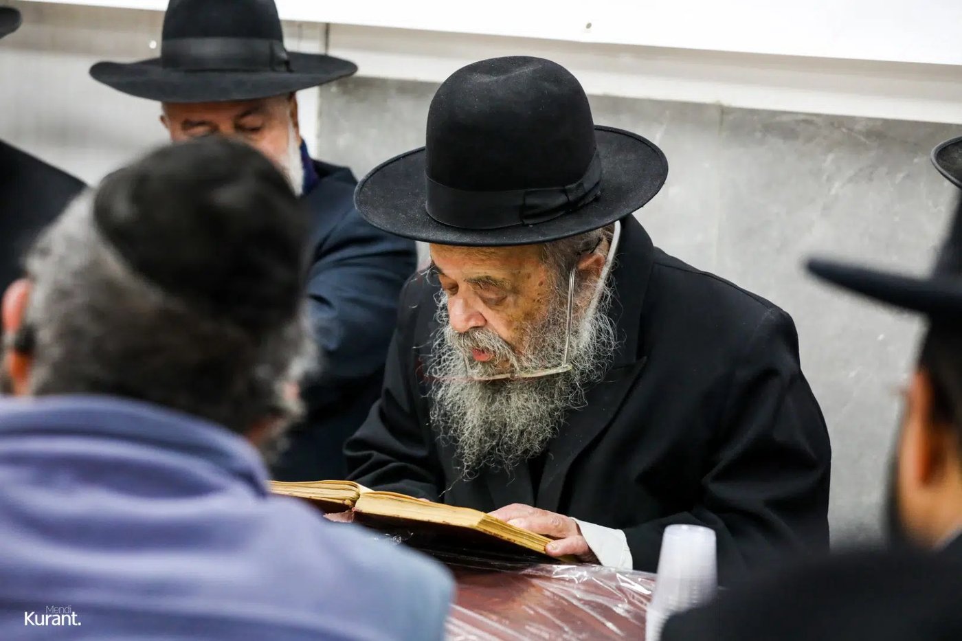מראות חייו של הגאון רבי דוד שמידל זצ"ל