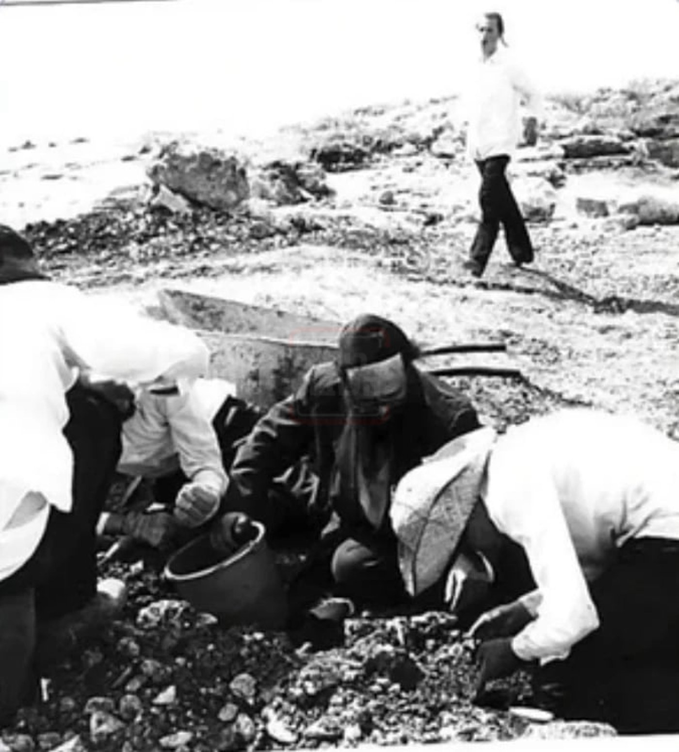 מראות חייו של הגאון רבי דוד שמידל זצ"ל