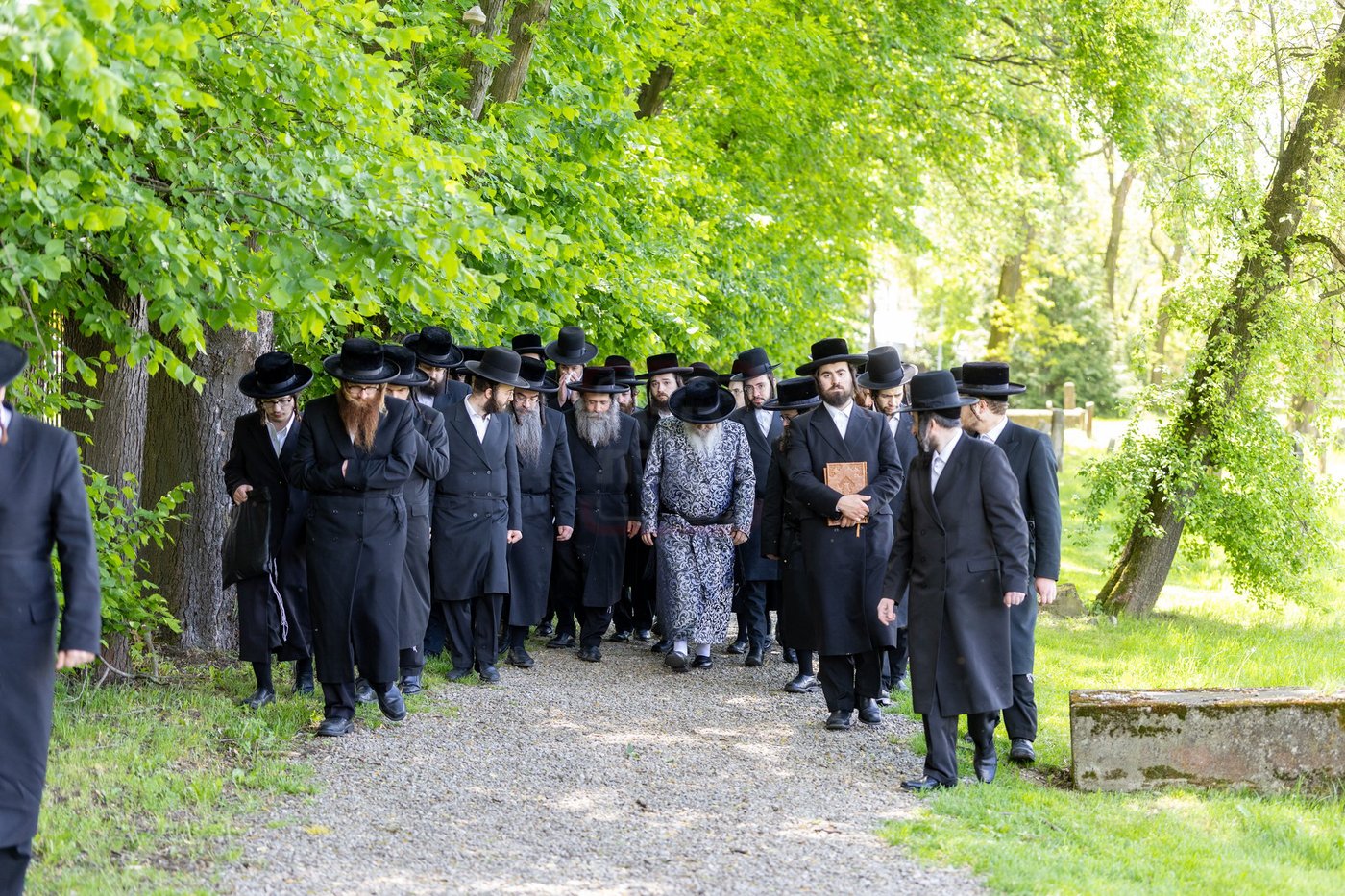 האדמו"ר מסאטמר בצאנז