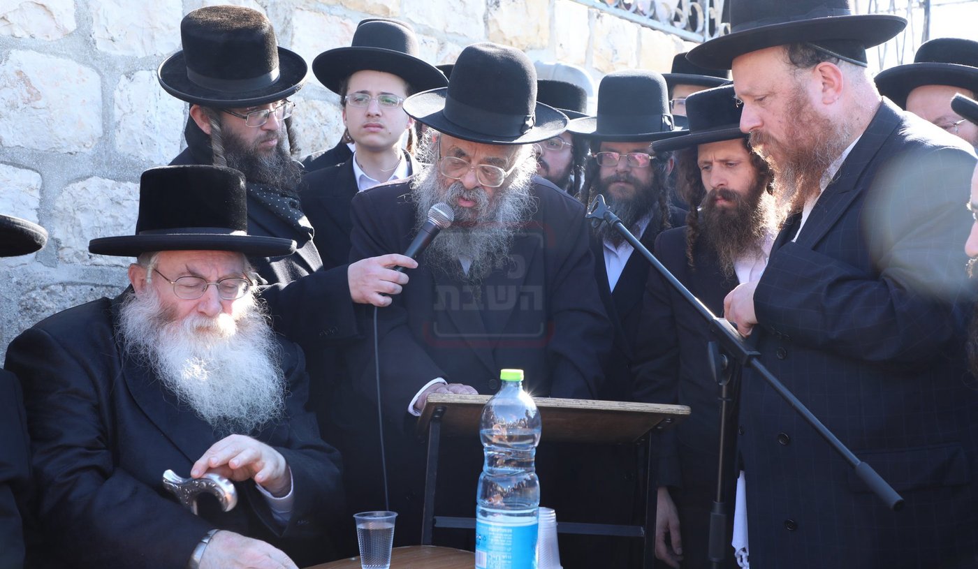 מראות חייו של הגאון רבי דוד שמידל זצ"ל