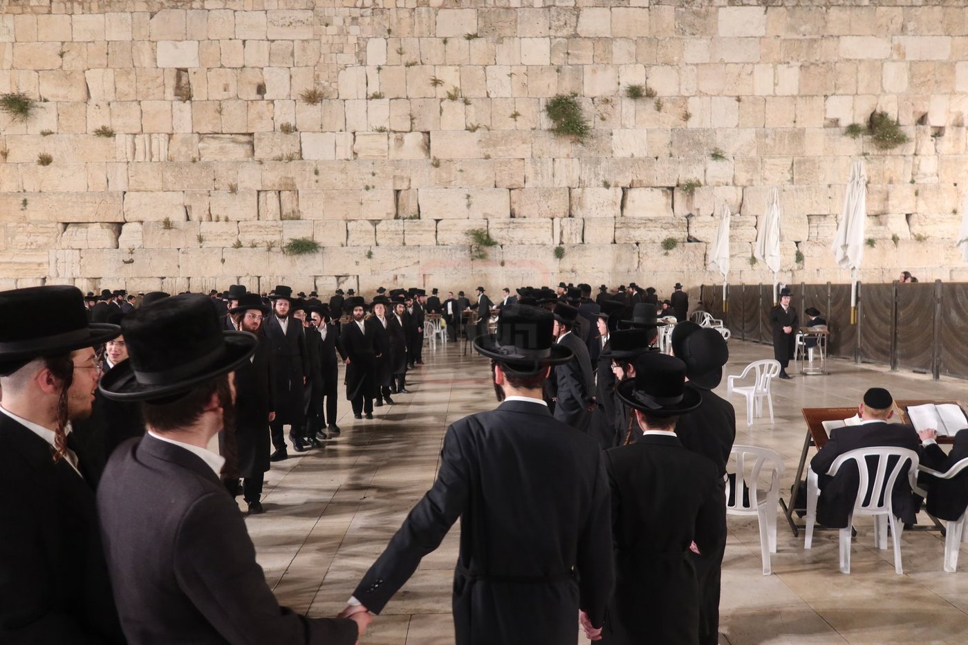 האדמו"ר מזוועהיל בכותל המערבי ערב חג השבועות