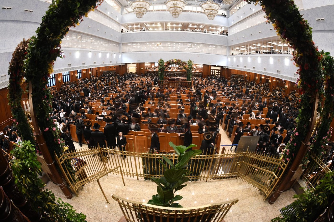 שבועות בחצה"ק בעלזא