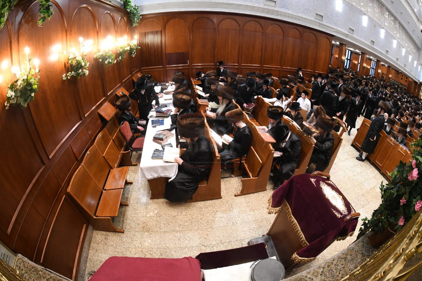 שבועות בחצה"ק בעלזא