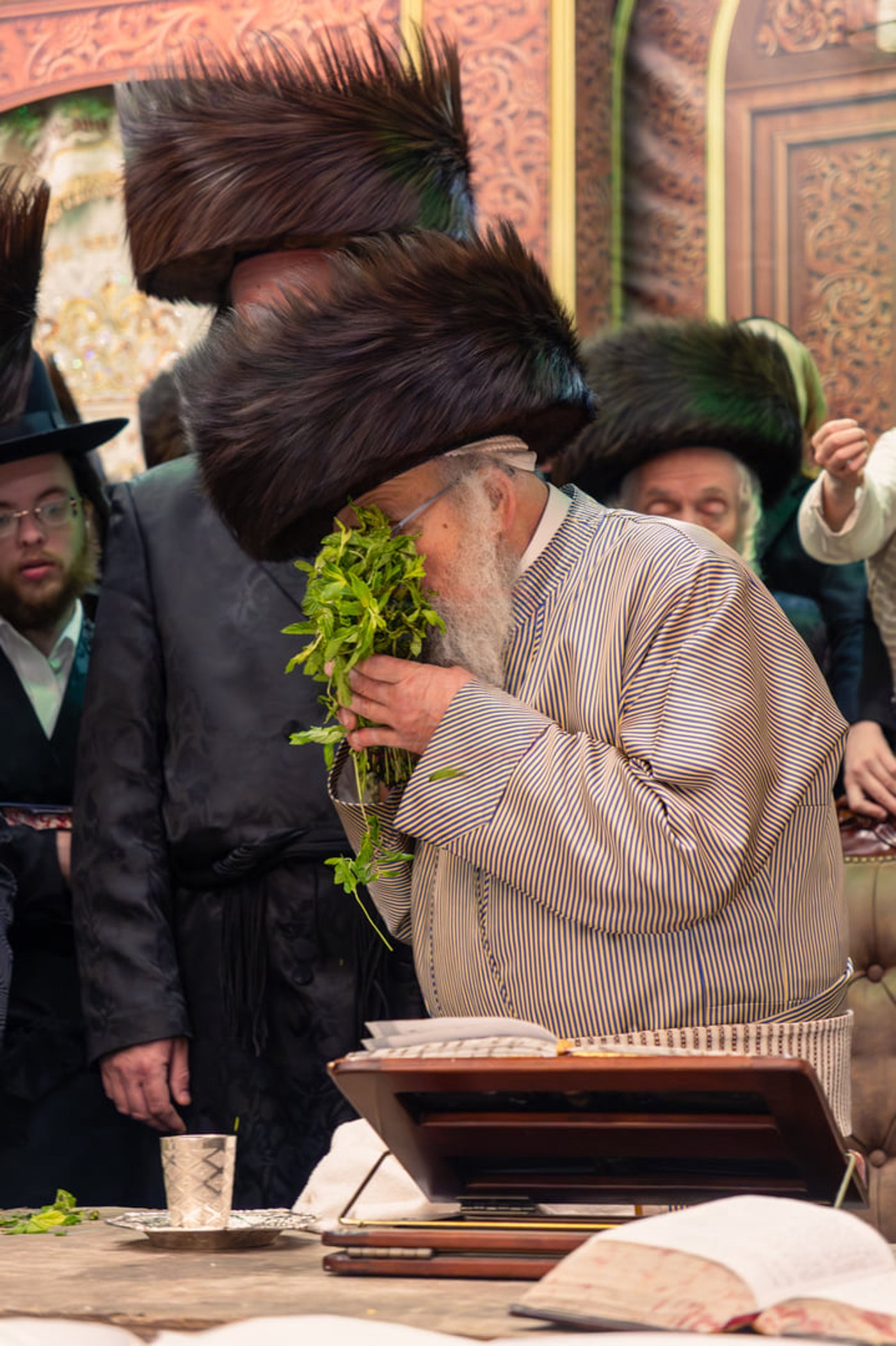 האדמו"ר מפינסק קרלין בהבדלה