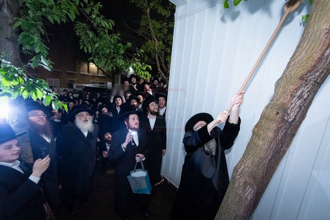 האדמו"ר מצאנז קלויזנבורג במצוות שילוח הקן