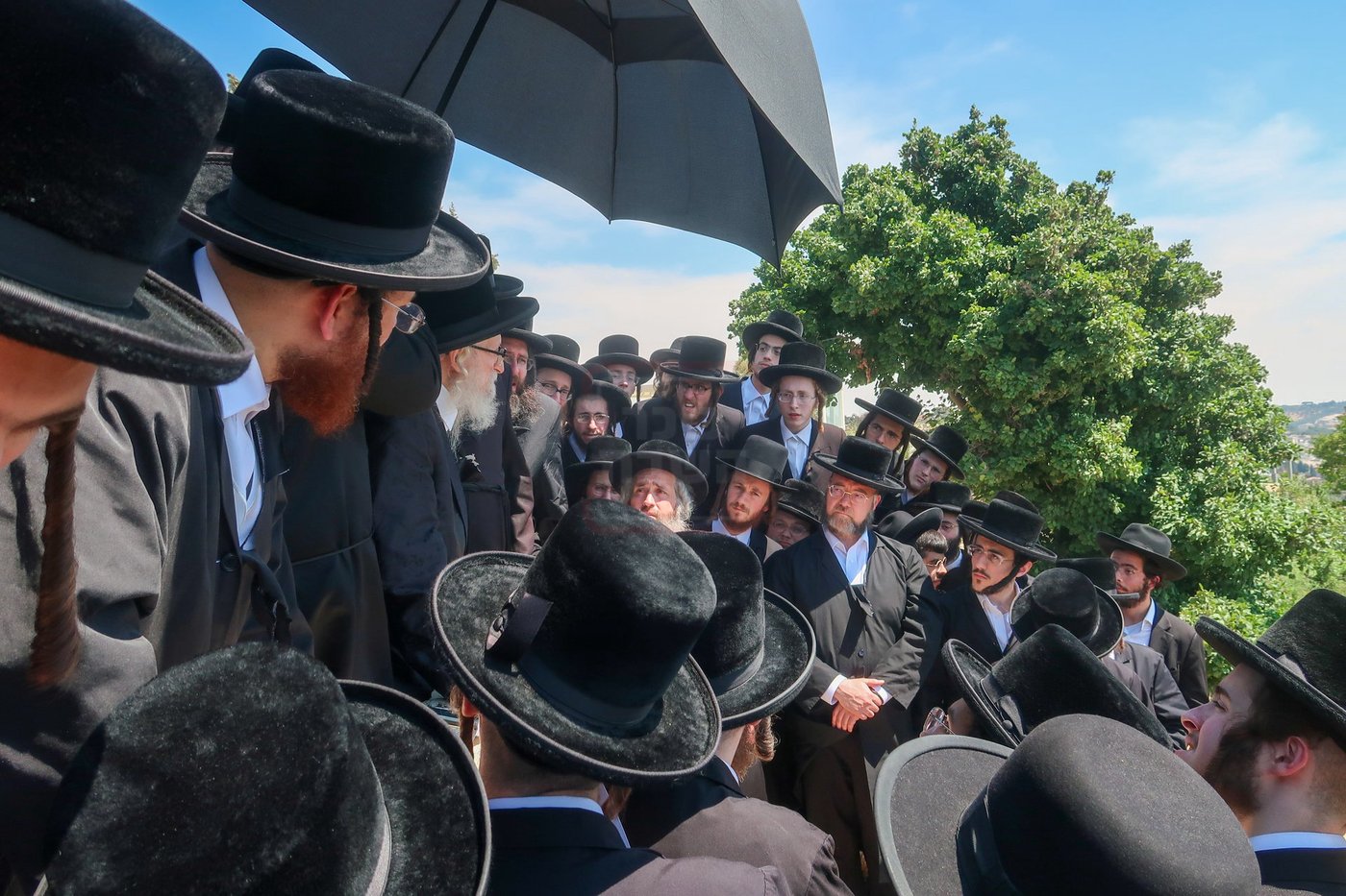 האדמו"ר מסערדאהעלי בהר הצופים